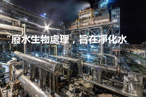 “廢水生物處理，旨在凈化水源，守護(hù)碧水藍(lán)天”